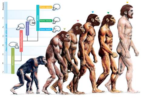 Karta navodne evolucije čoveka
